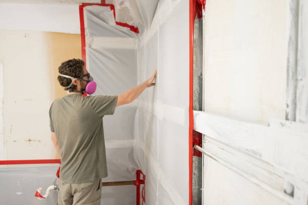 Best Forensic Mold Investigation  in Princeton, MN