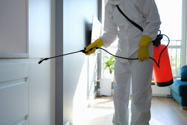 Best Crawl Space Mold Remediation  in Princeton, MN
