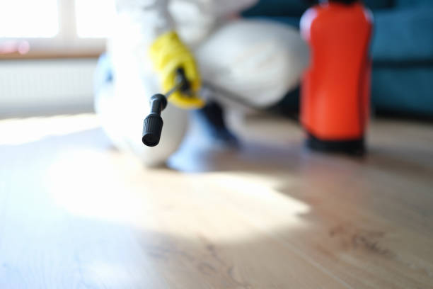 Best Mold Damage Restoration  in Princeton, MN
