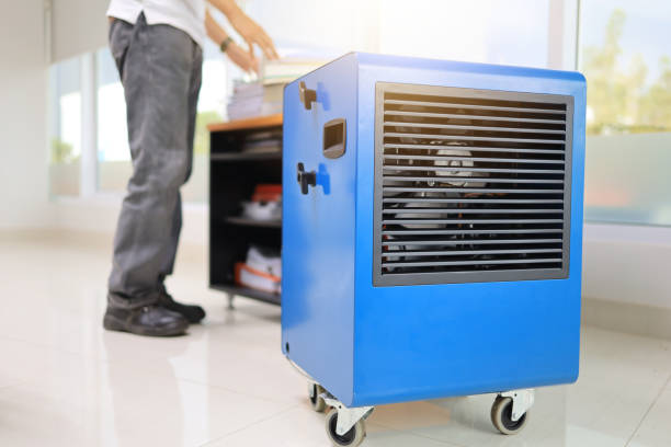Best Commercial Mold Inspection  in Princeton, MN