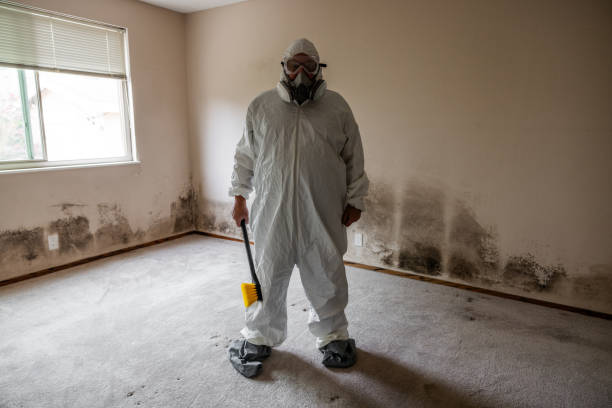 Best Residential Mold Inspection & Testing  in Princeton, MN